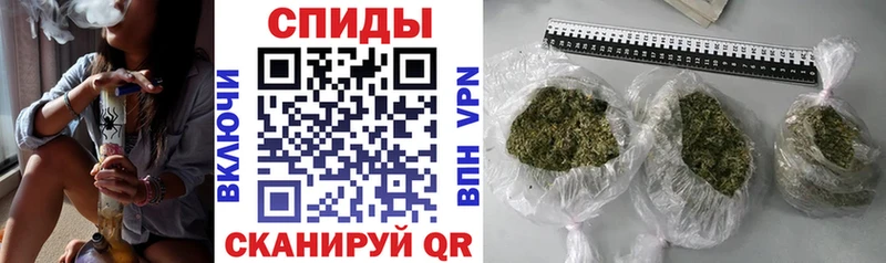 блэк спрут Сенгилей БУТИРАТ BDO