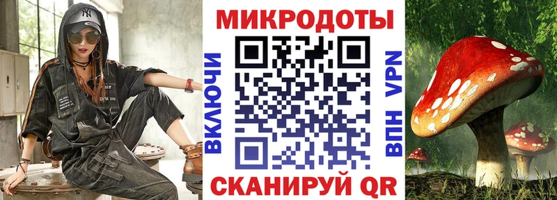 цена   Сенгилей  Псилоцибиновые грибы мухоморы 